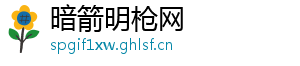 暗箭明枪网